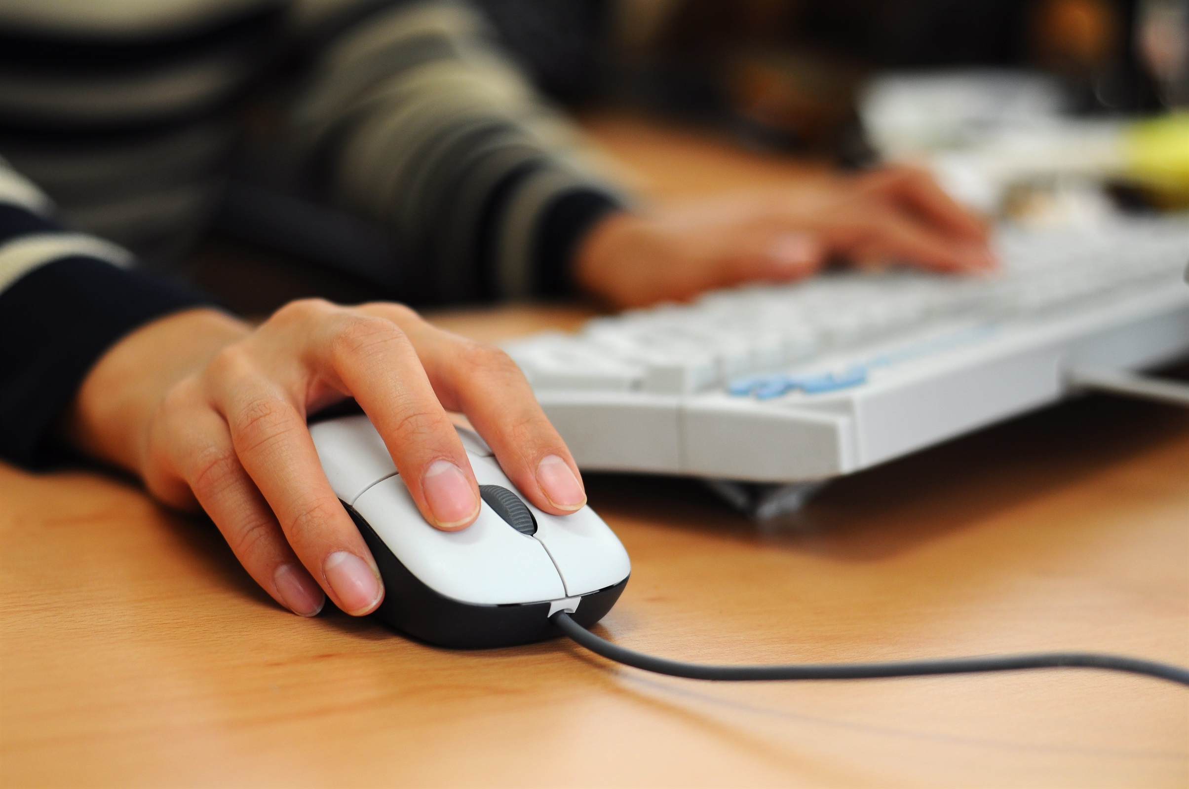 El COIB posa en marxa cursos de formació en modalitat de telepresència