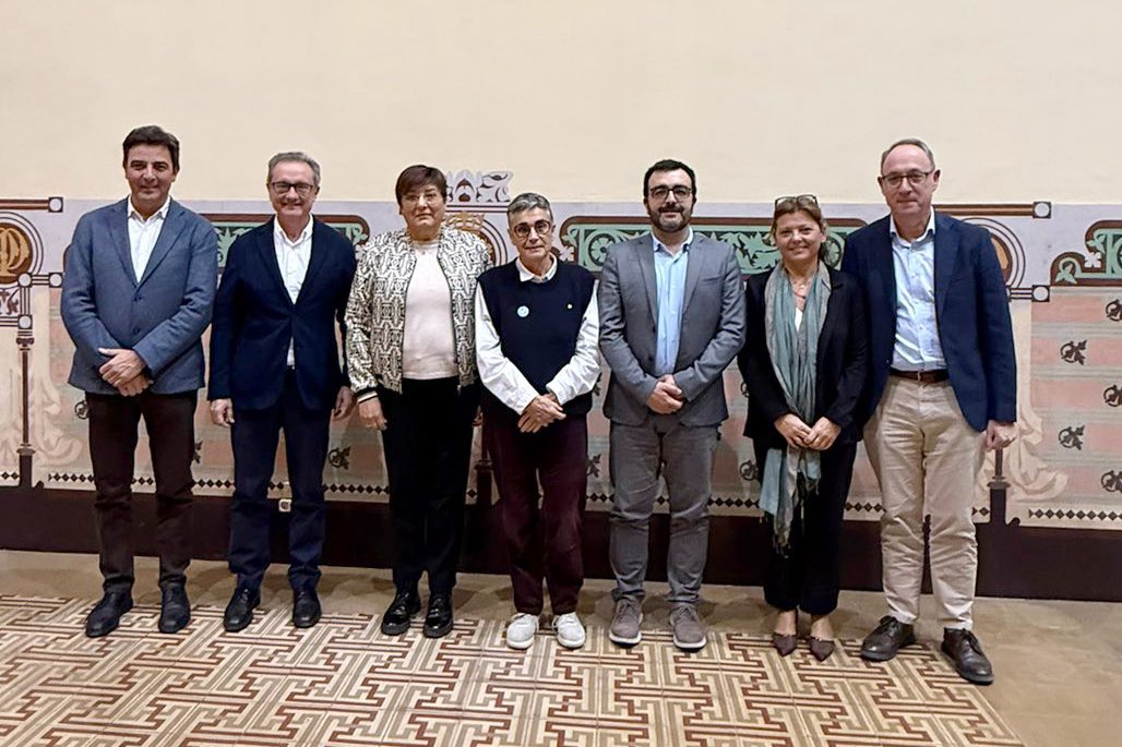 El Consell i els col·legis d'infermeres es reuneix amb la consellera Olga Pané i directius de Salut