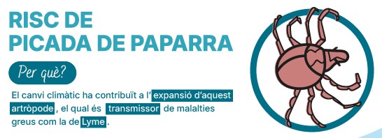 Com actuar davant les picades de paparra en infants?