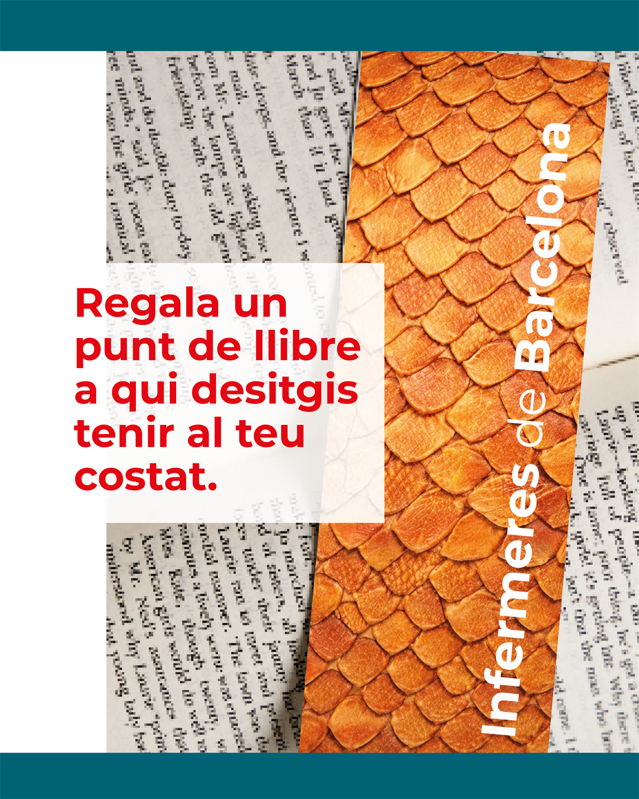 El COIB us desitja una Bona diada de Sant Jordi