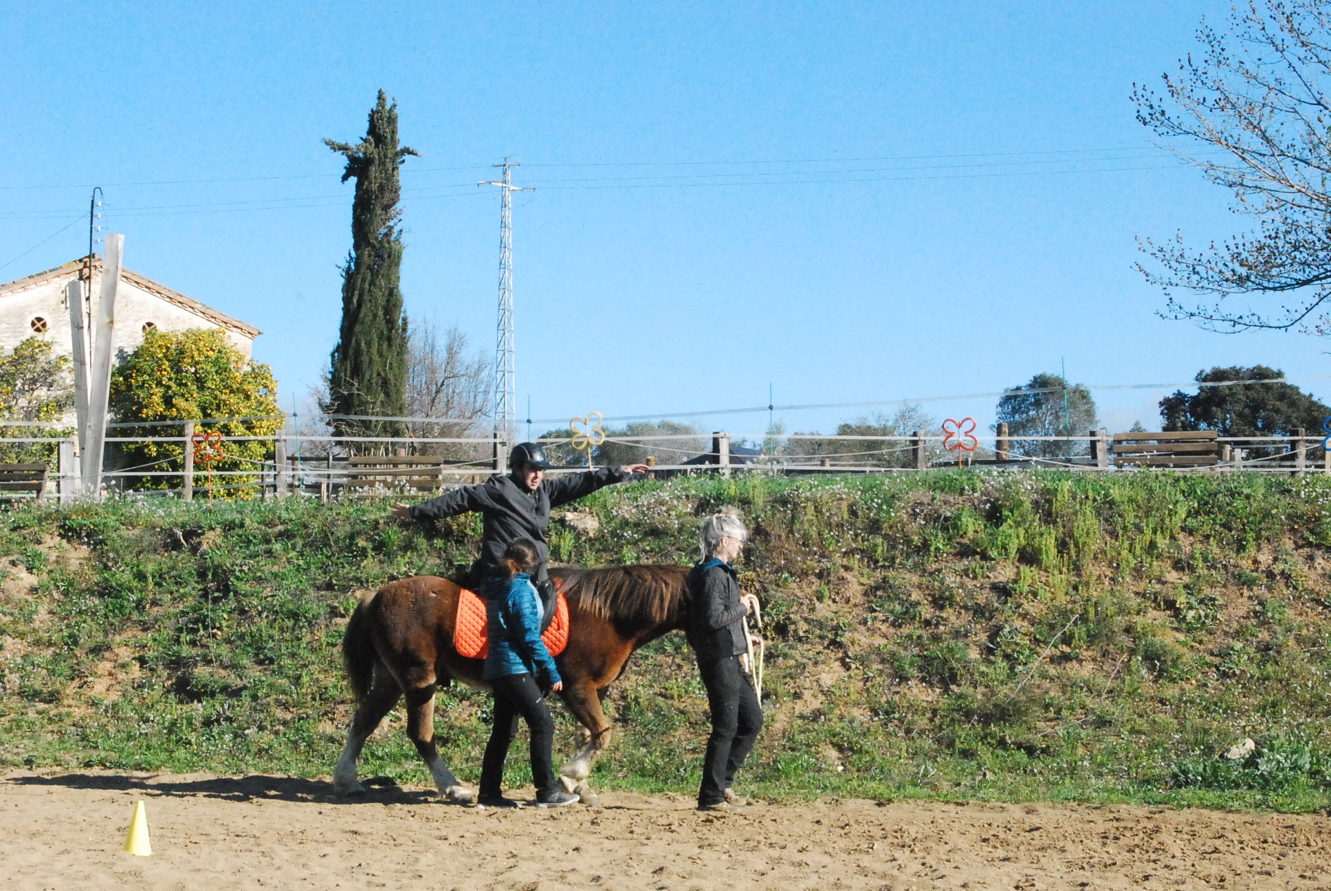 Elena López: «Les intervencions assistides amb cavalls poden beneficiar l'àmbit físic, emocional i sensorial de les persones»
