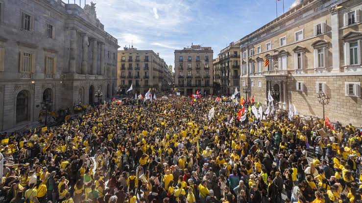 Posicionament del COIB en defensa d’una escola de qualitat