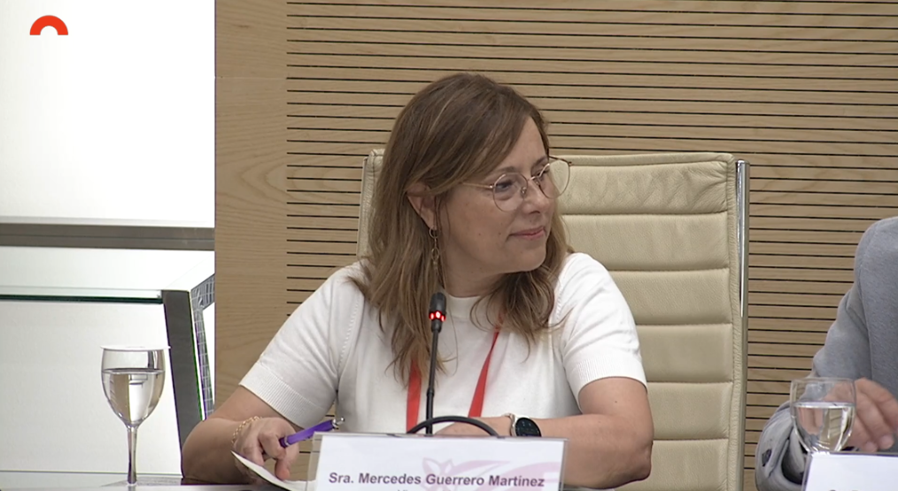 El COIB defensa al Parlament el paper estratègic de les infermeres