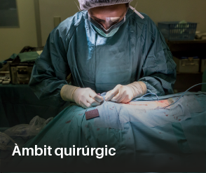 ambit quirurgic