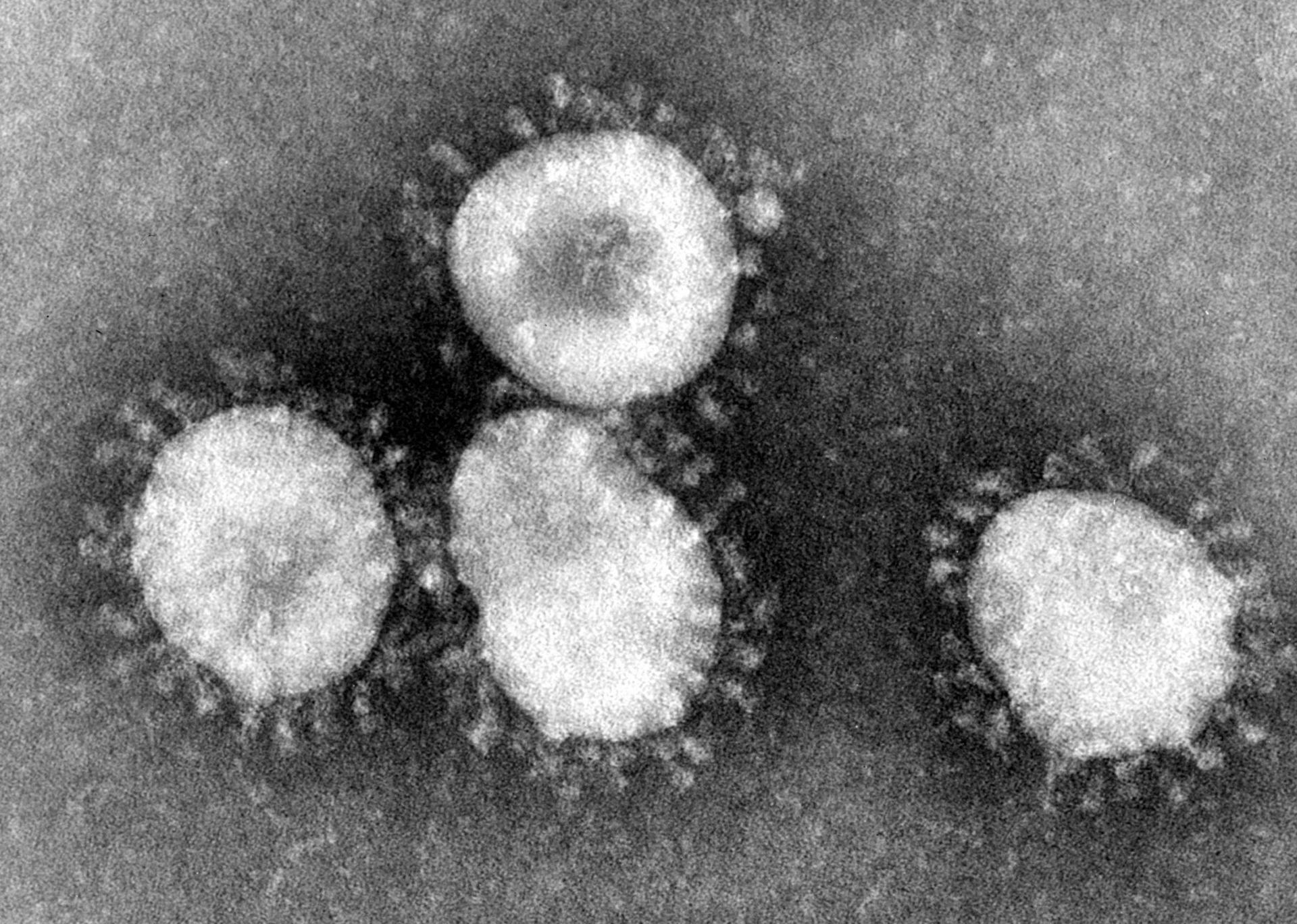El Departament de Salut presenta el protocol d'actuació davant de casos sospitosos del nou coronavirus