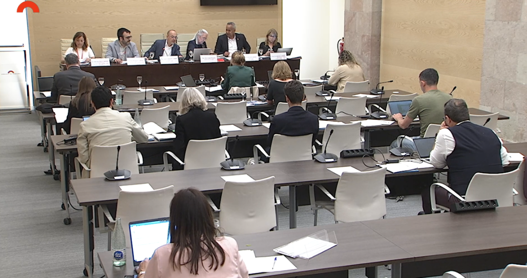 El COIB defensa al Parlament el paper estratègic de les infermeres