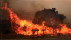 incendi-emporda.jpg