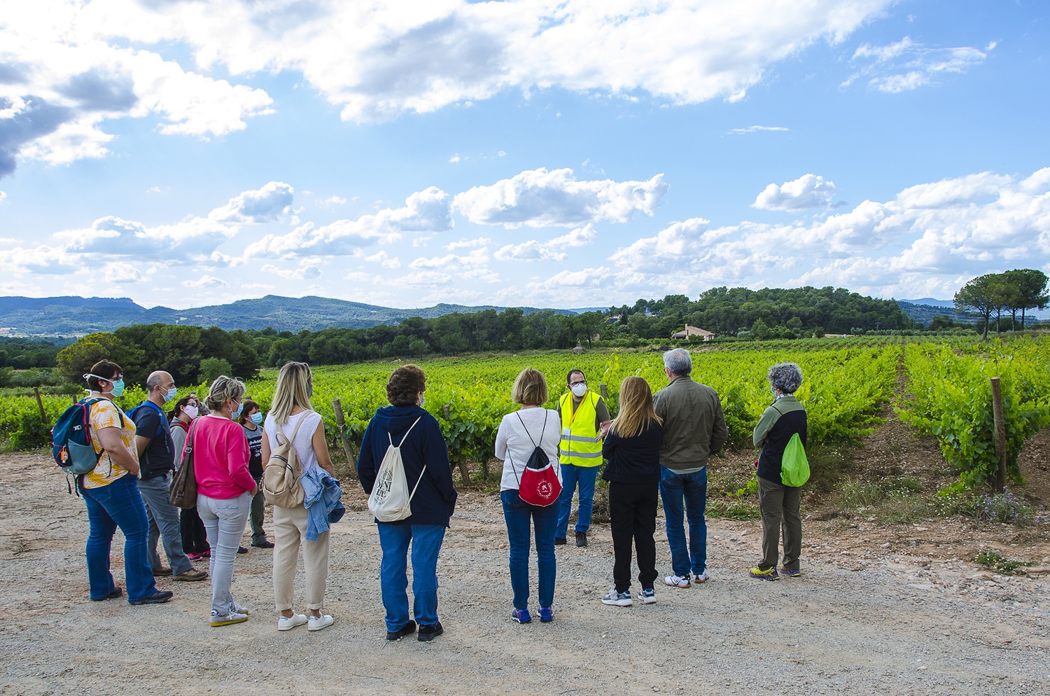 La Delegació de l'Anoia del COIB visita les vinyes del Celler Pla de Morei