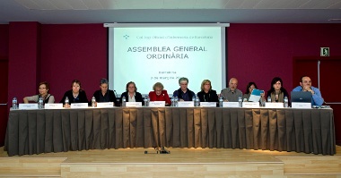 Junta de Govern del COIB