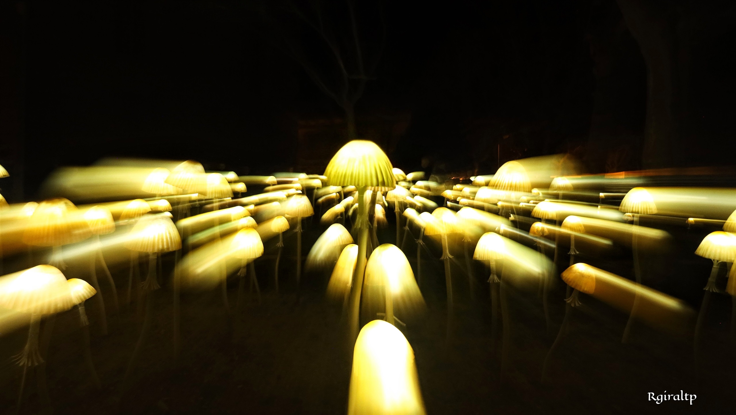 “Habitar l’Instant”, una exposició de la infermera Rosa Giralt Palou